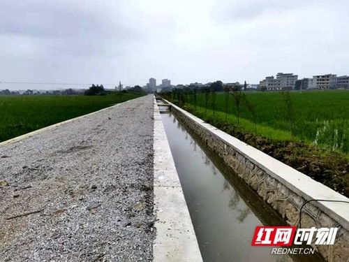 湖南邵东 集中连片规模开发 整体推进高标准农田建设
